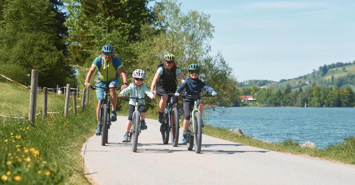 airtag sattelstütze CYCLING COMPONENTS Seatpost Secure Apple REV'IT! Sand 5 Adventure-Tourenhandschuhe Haro Bikes Hitchlink 2.0 Color:Black which also clamps it