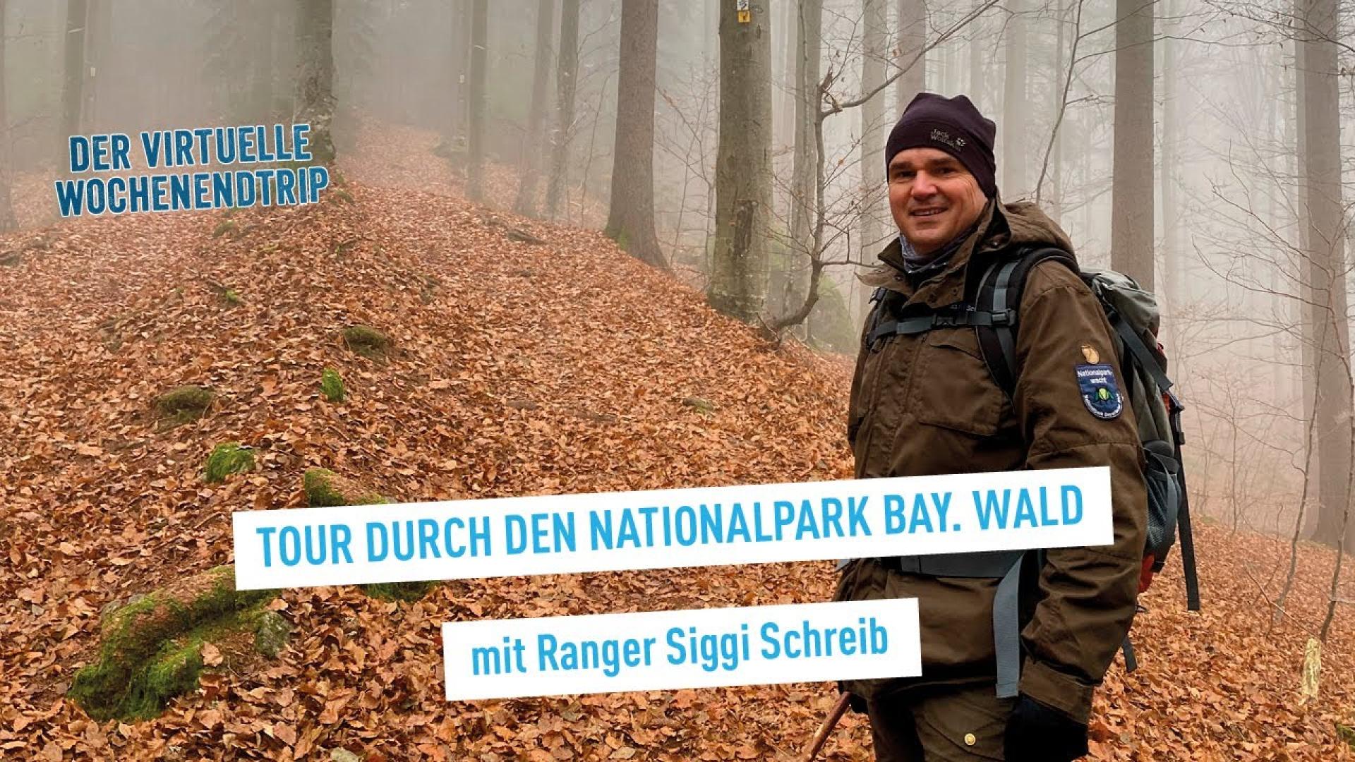 Ranger-Tour durch den Nationalpark Bayerischer Wald